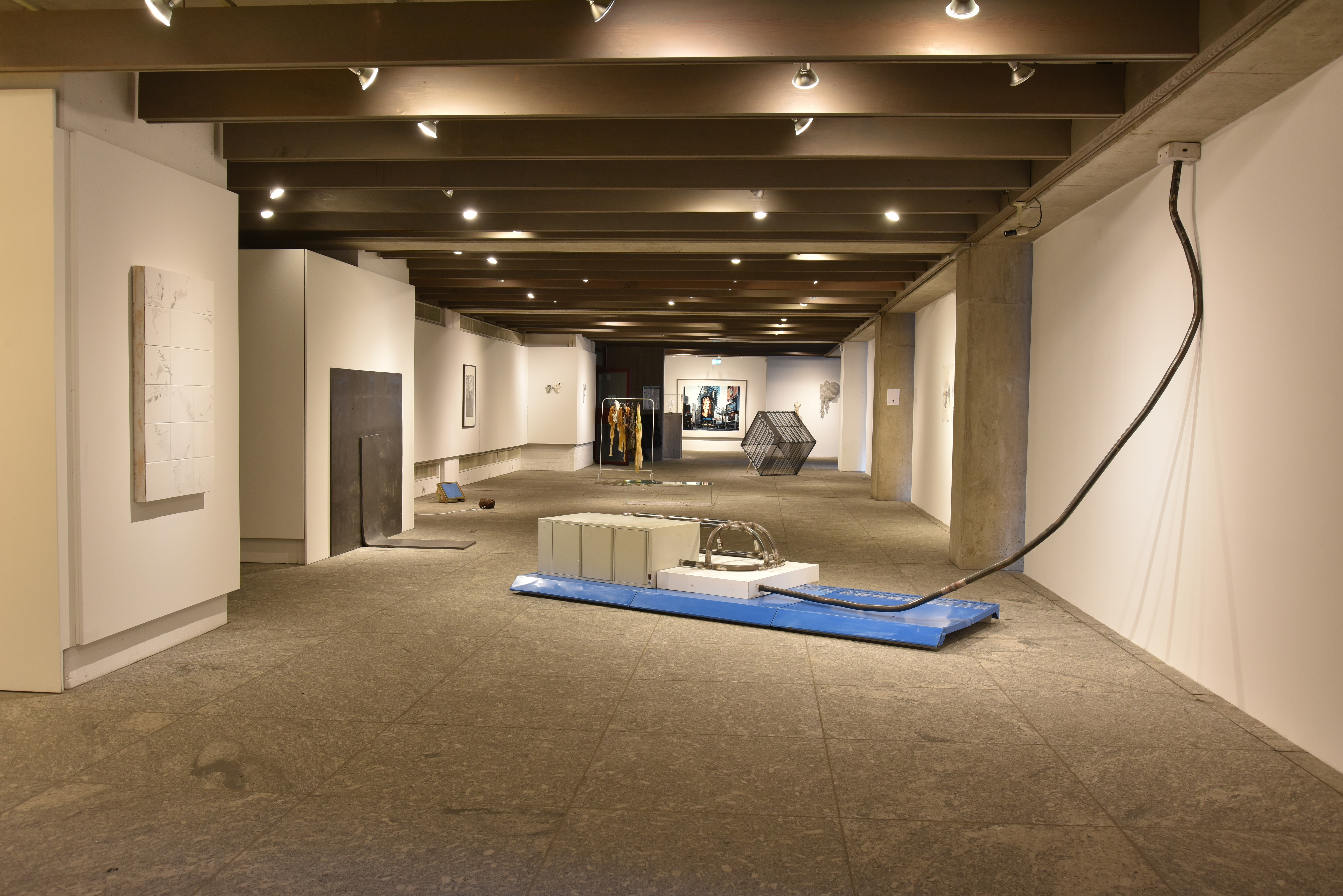 Installationsansicht Echo Czubatinski